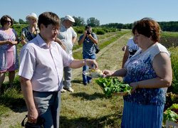 Щорічний традиційний огляд дослідів кафедр